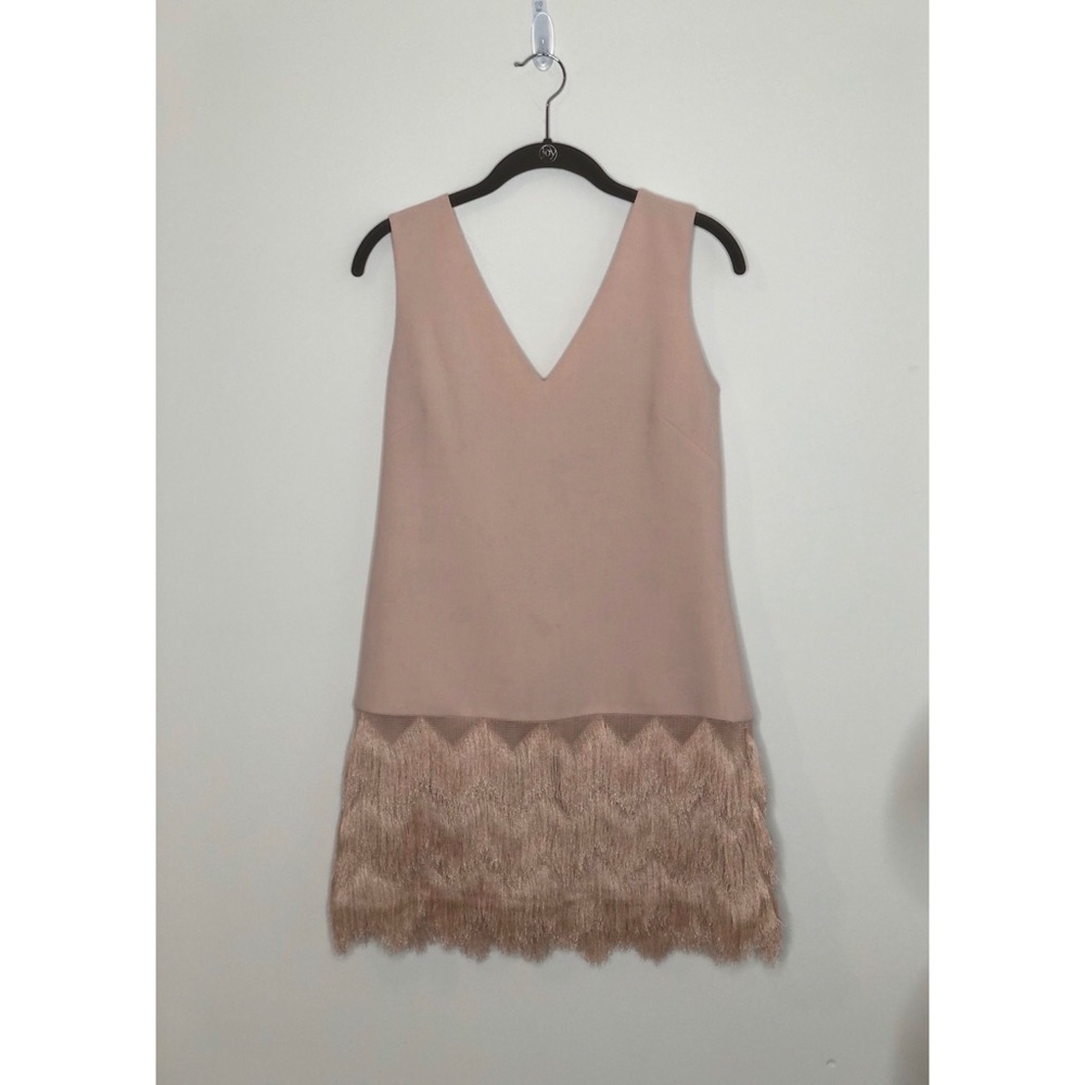 BCBGMAXAZRIA blush flapper dress
